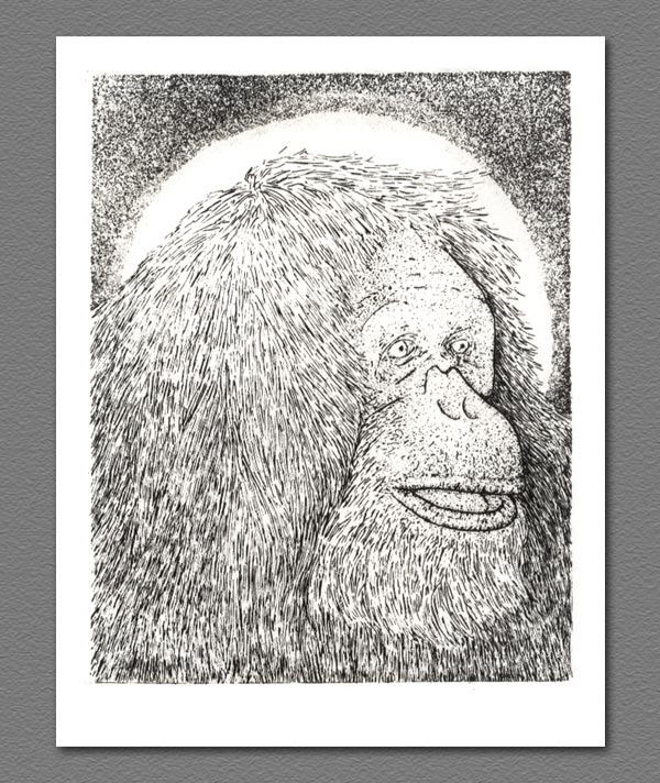 etching - St. Orangutan